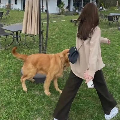 保安日记