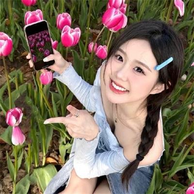 藏獒多吉
